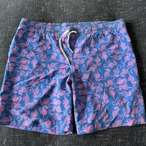 Chubbies Swimsuit